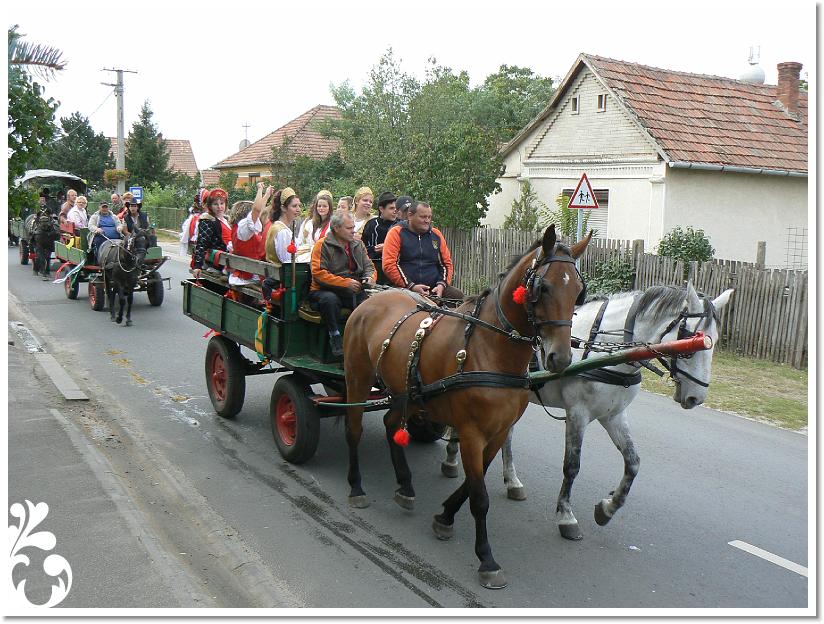 Szuret Felv es Bal_070